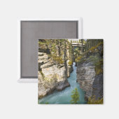 Aimant Canada, Alberta, parc national de Jasper, Athabasc (Recto/Verso)