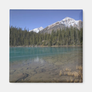 Aimant Canada, Alberta, parc national de Jasper : JASPER,