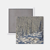 Aimant Canada, Alberta, Parc national Jasper. (Recto/Verso)