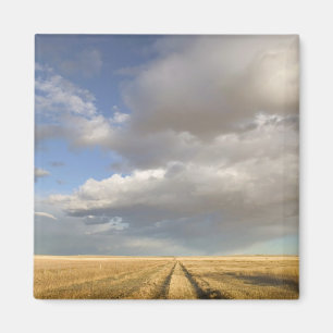 Aimant Canada, Alberta, Stand Off : Paysage avec