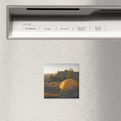 Aimant Canada, Colombie-Britannique, Cathédrale provincia (In Situ (Lave-vaisselle))