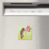 Aimant Canada, Colombie-Britannique, Colibri roux (In Situ (Lave-vaisselle))