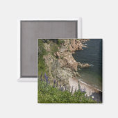 Aimant Canada, Nouvelle-Écosse, Île du Cap-Breton, Cabot  (Recto/Verso)