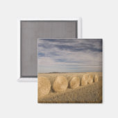 Aimant Canada, Saskatchewan, Craik : Roulements de foin / (Recto/Verso)