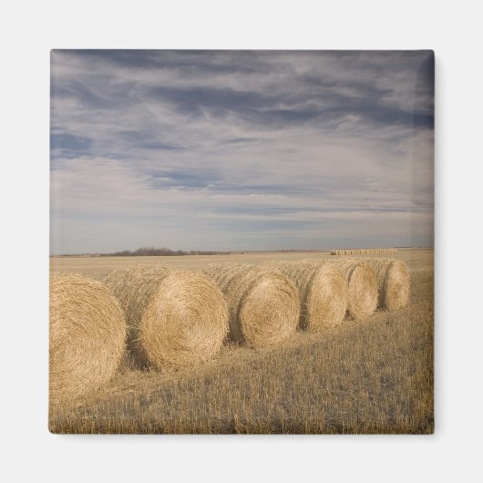 Aimant Canada, Saskatchewan, Craik : Roulements de foin / (Devant)