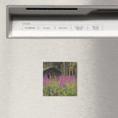 Aimant Canada, Yukon, région de Ross River, cabine abando (In Situ (Lave-vaisselle))