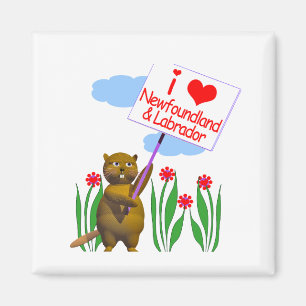 Aimant Canadian Beaver Loves Terre-Neuve, Labrador