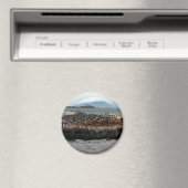 Aimant Canal beagle (In Situ (Lave-vaisselle))