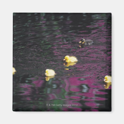 Aimant canalisations (Devant)