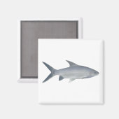 Aimant Canara Barb (Recto/Verso)