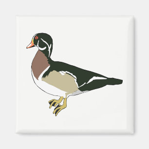 Aimant Canard