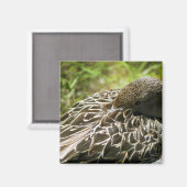 Aimant Canard (Recto/Verso)