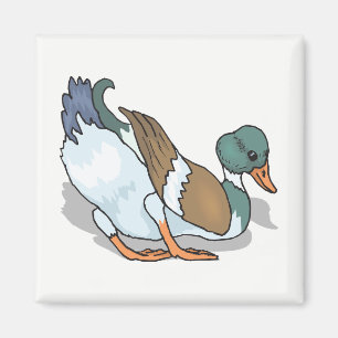 Aimant Canard
