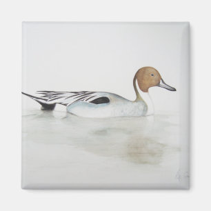 Aimant Canard 2011 de canard pilet