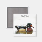 Aimant Canard à bois (mâle) (Recto/Verso)