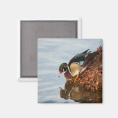 Aimant Canard à bois sur le rivage (Recto/Verso)
