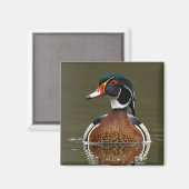 Aimant Canard à bois sur l'eau (Recto/Verso)
