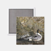 Aimant Canard à intail (Recto/Verso)