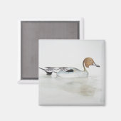 Aimant Canard à ongles 2011 (Recto/Verso)