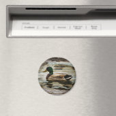Aimant Canard colvert (In Situ (Lave-vaisselle))