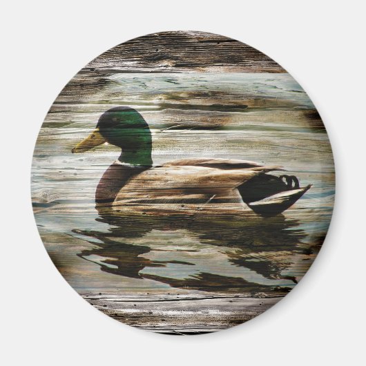 Aimant Canard colvert (Devant)