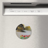 Aimant Canard dans une Tea up 2 (In Situ (Lave-vaisselle))