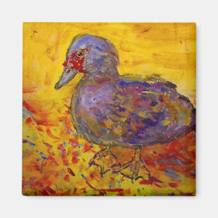 Aimant canard de muscovy