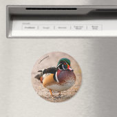 Aimant Canard en bois sur le gravier (In Situ (Lave-vaisselle))