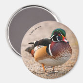 Aimant Canard en bois sur le gravier (Recto/Verso)