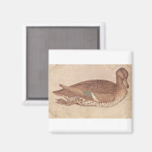 Aimant Canard - Pisanello (Recto/Verso)