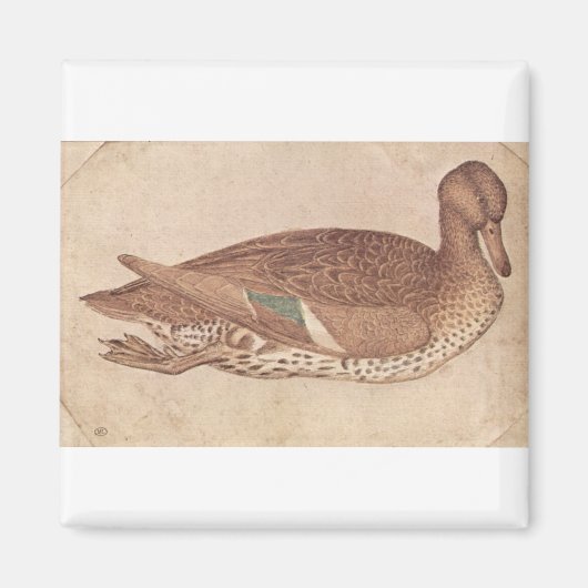 Aimant Canard - Pisanello (Devant)