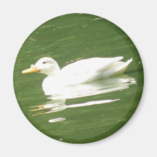 Aimant Canard sur l'eau (Devant)
