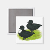 Aimant Canards : Appels noirs (Recto/Verso)