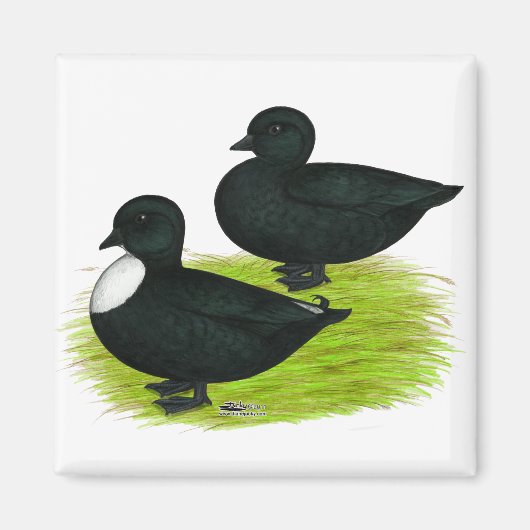 Aimant Canards : Appels noirs (Devant)
