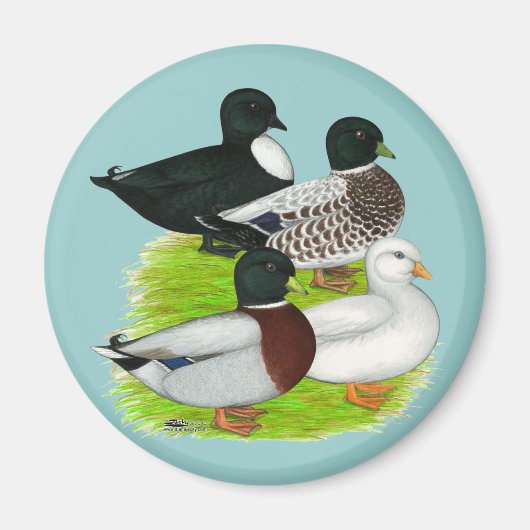 Aimant Canards : Call Quartet (Devant)