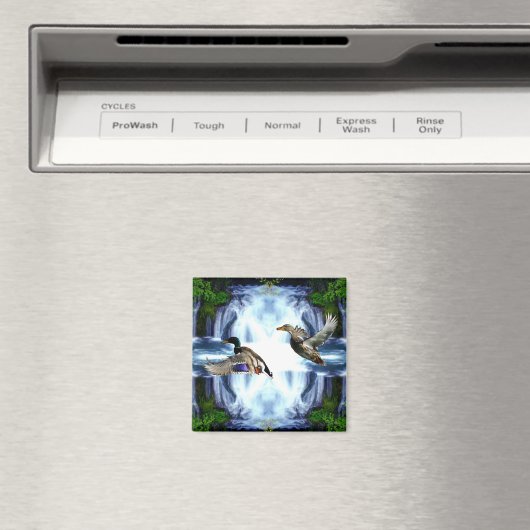 Aimant Canards colverts (In Situ (Lave-vaisselle))