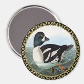 Aimant Canards colverts blancs et noirs nageant dans l'ea (Recto/Verso)