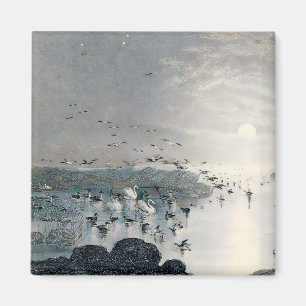 Aimant Canards, colverts et cygnes sur le lac au coucher