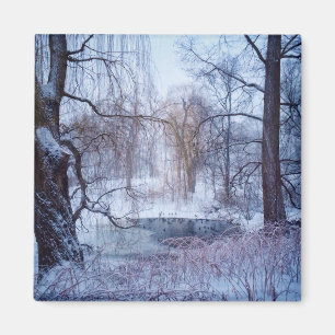 Aimant Canards dans un étang gelé dans Central Park à New