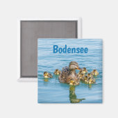 Aimant Canards du Bodensee avec canetons (Recto/Verso)