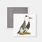 Aimant Canards : Émeri Penciled Runners (Recto/Verso)