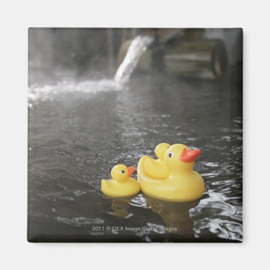 Aimant Canards en caoutchouc japonais (Devant)