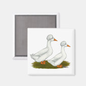 Aimant Canards : Graine blanche (Recto/Verso)