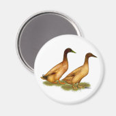 Aimant Canards : Khaki Campbell (Recto/Verso)