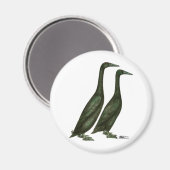 Aimant Canards noirs (Recto/Verso)
