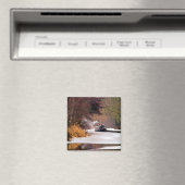 AIMANT CANAUX (In Situ (Lave-vaisselle))