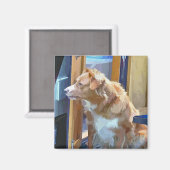 AIMANT CANAUX (Recto/Verso)