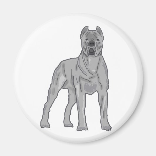Aimant Cane Corso (Devant)