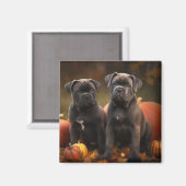 Aimant Cane Corso Chiot Automne Citrouille de plaisir (Recto/Verso)