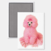 aimant caniche jouet rose, caniche rose, réfrigéra (Recto/Verso)